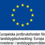 EU-flagga+Europeiska+jordbruksfonden+färg